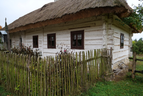 P1036384