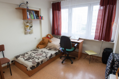 Wnętrze pokoju w akademiku. Po lewej stronie zdjęcia łóżko oraz biurko.
