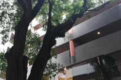 edf